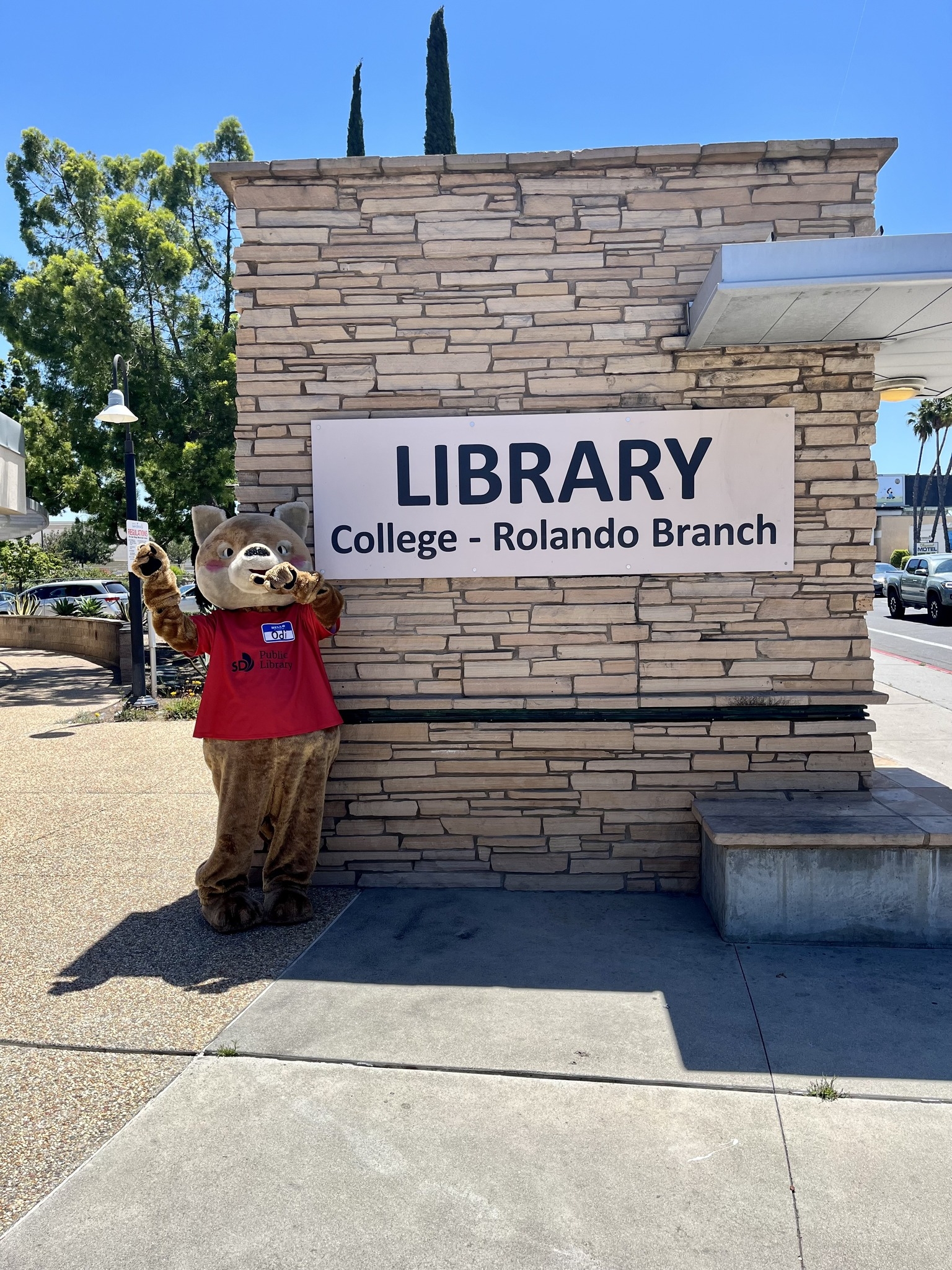 Bear mascot at the College-Rolando Branch