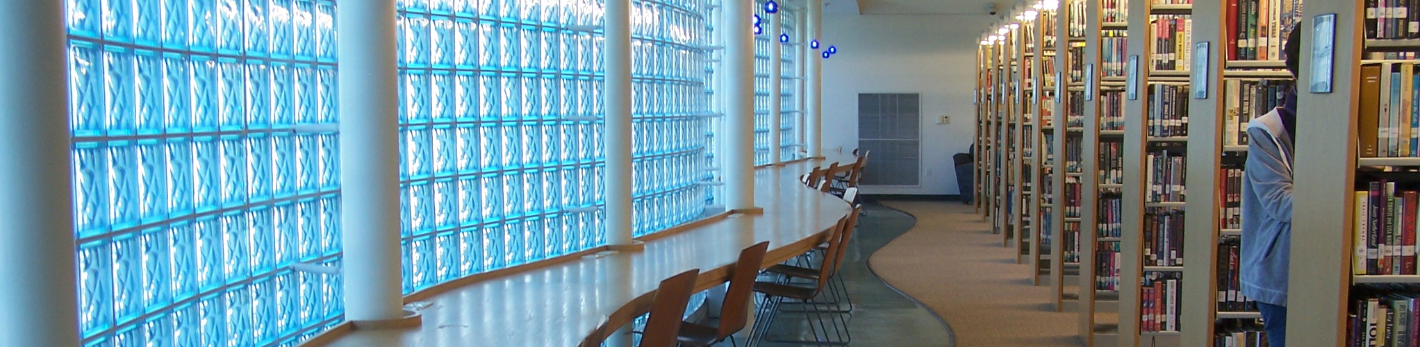 Interior of the College-Rolando Branch library